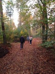 Welna november eerstegeneratie