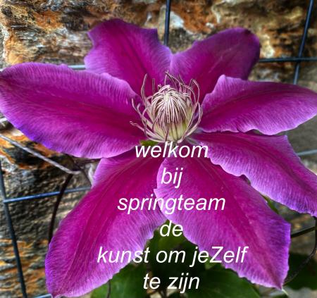 Welkom bij SpringteamJeZelf zijn.JPG