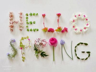 ihello-spring 2.JPG