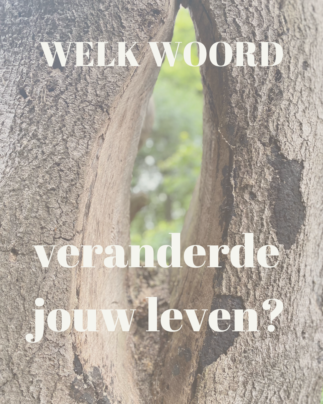 welk woord veranderd jouw leven