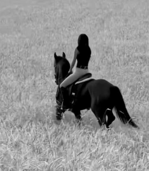 Effi te paard